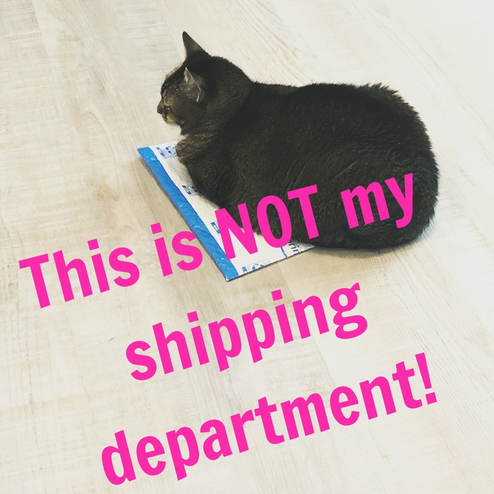 🐱But I DO ship out my orders FAST! ✅